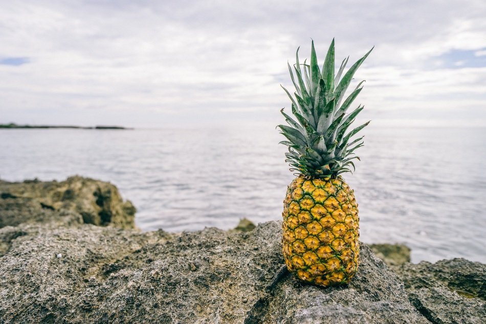 pineapple moving to seaside