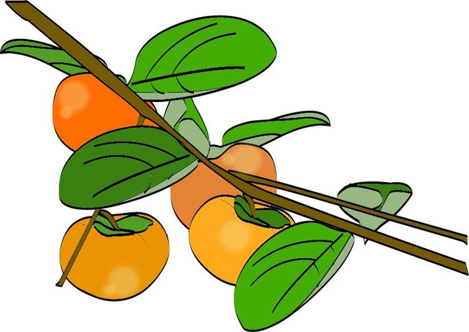 painted branch with persimmon