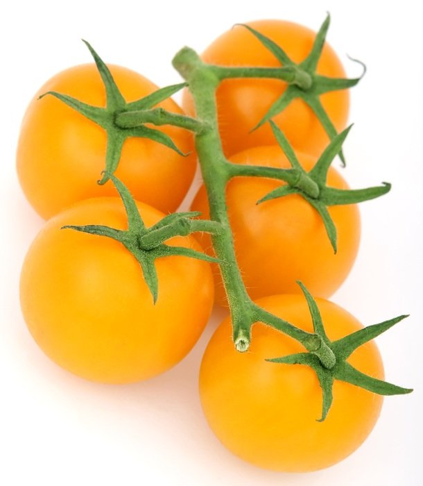 clutch of yellow organic tomatoes