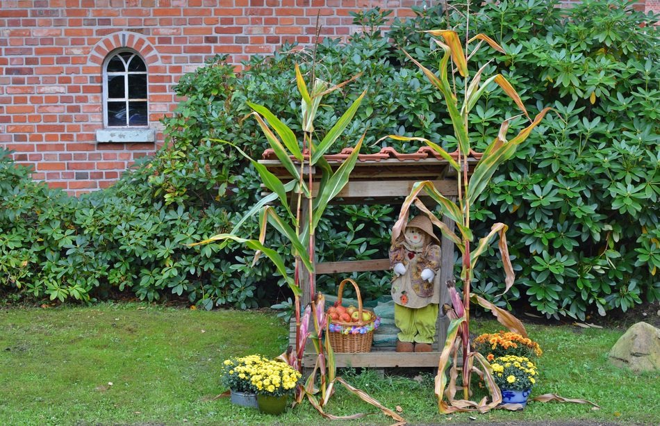 Thanksgiving Decoration harvest festiva