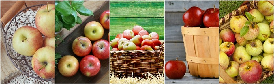 Apples ood collage