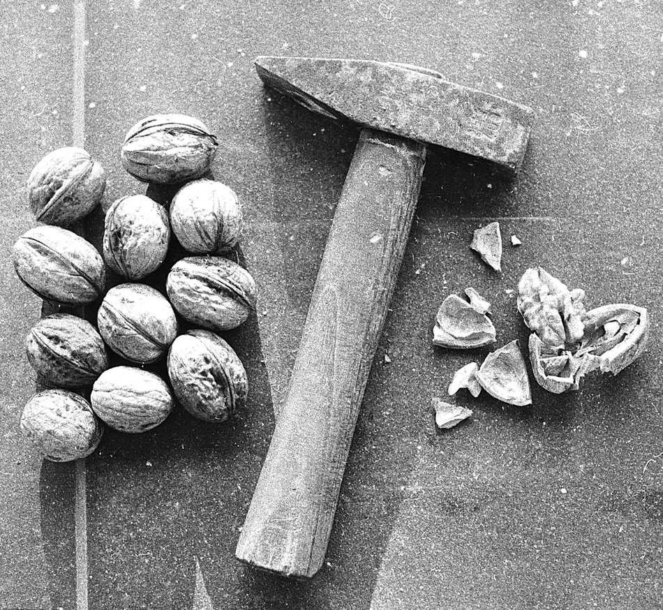 hammer for walnuts