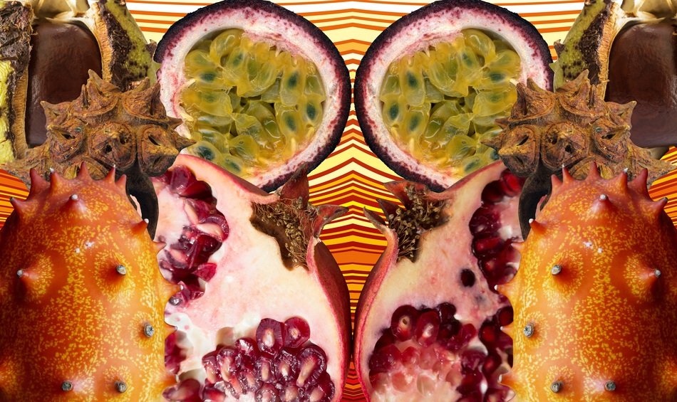 surreal image of tropical fruits