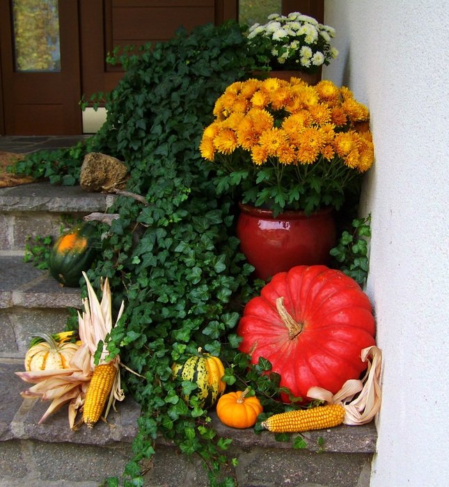 red pumpkin as a decor of autumn
