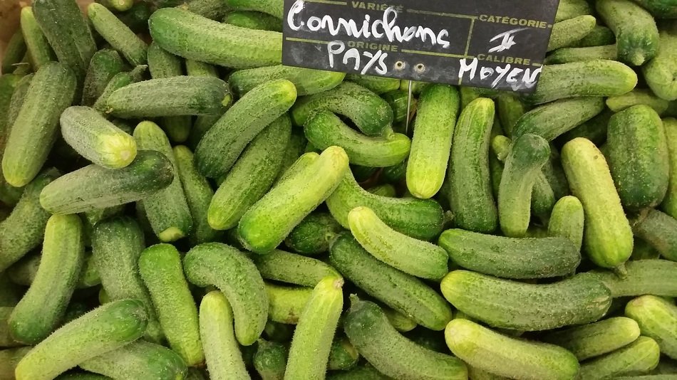 cucumbers in a box on the counter