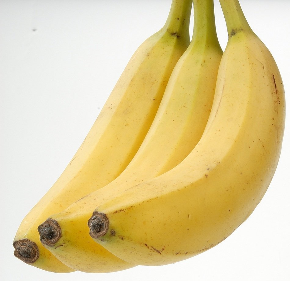 bananas on a white background