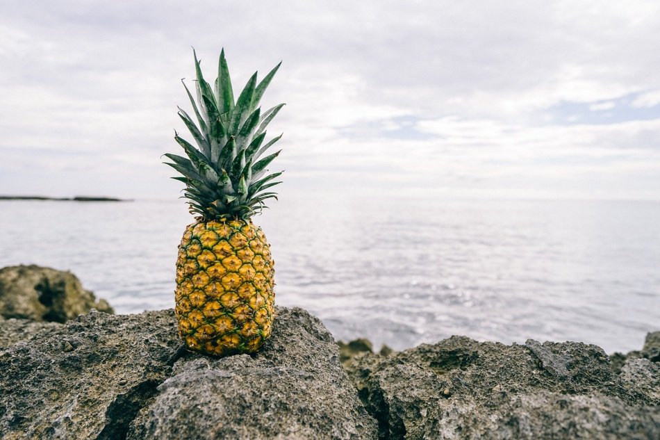 Pineapple near the ocean