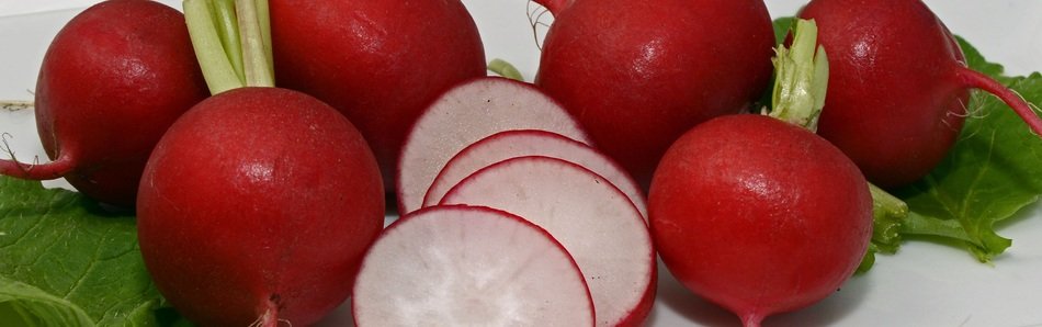 banner with radishes