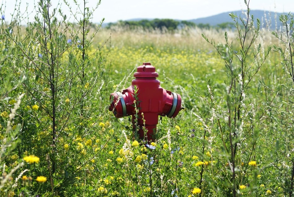 Fire Hydrant on the field