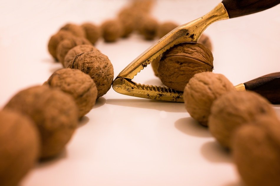 walnuts on the table with a gavel