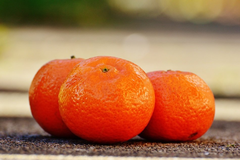 Tangerines close-up on blurred background