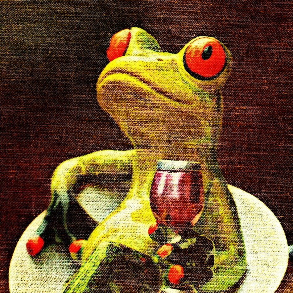 clipart of Funny Fabric Frog