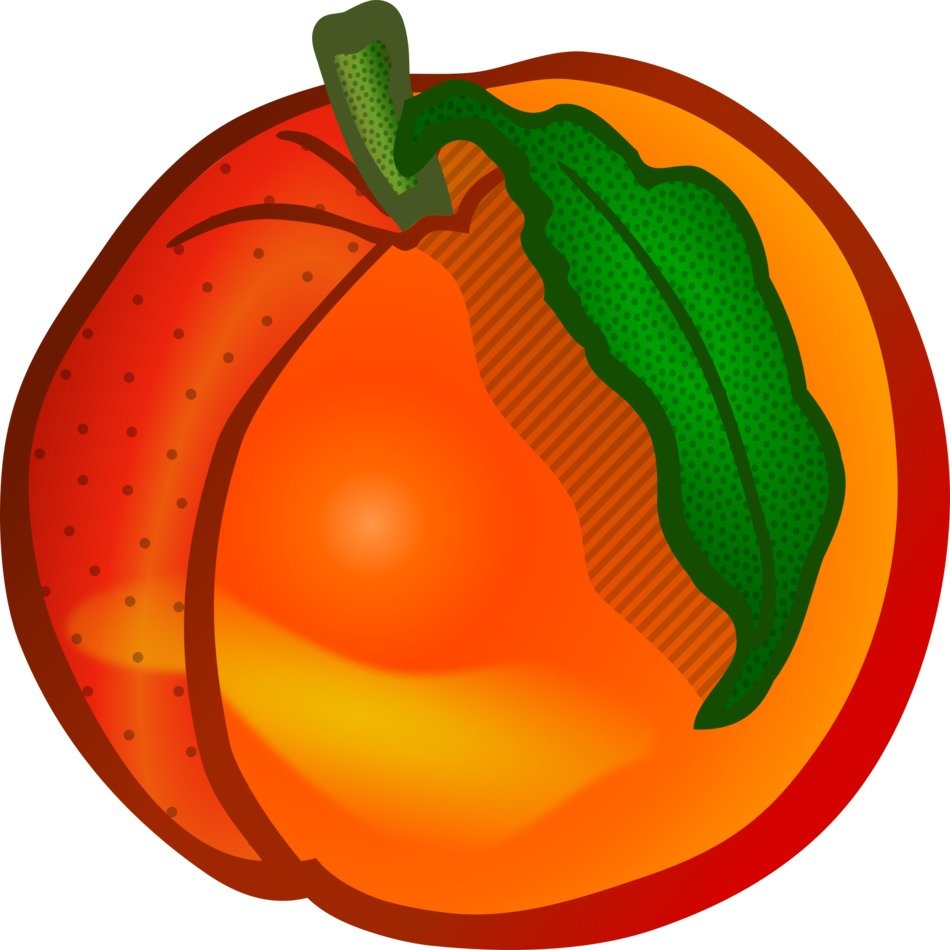 drawing of orange peach with green leaf
