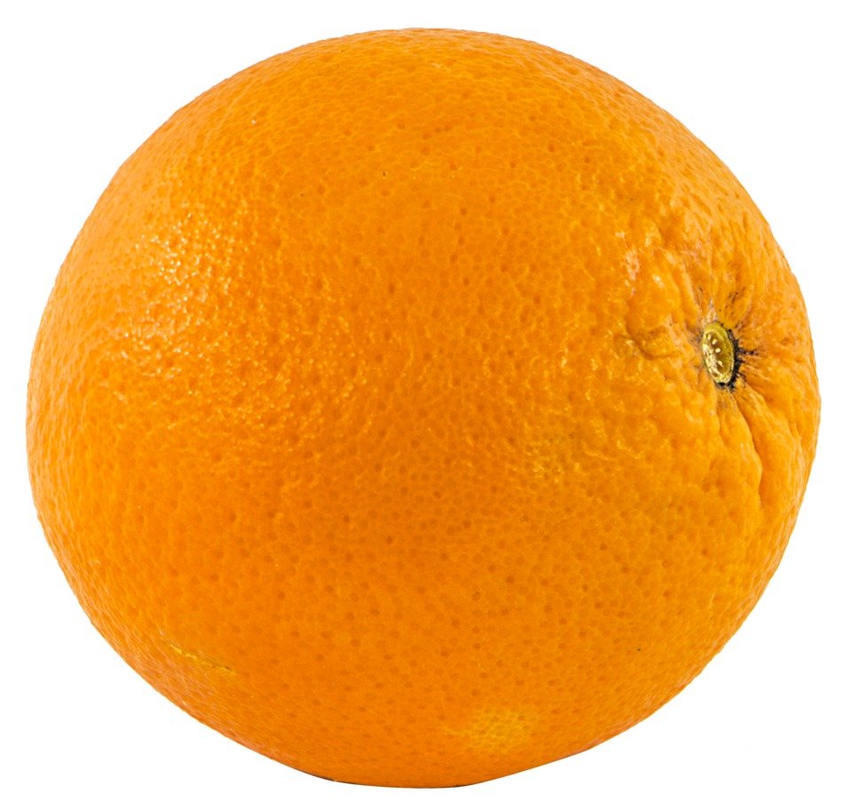 orange on the white background