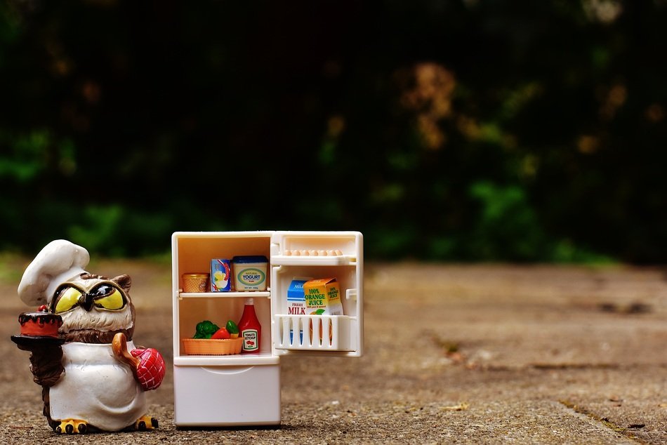 figure of owl chef and refrigerator