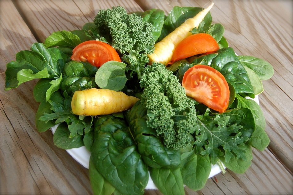 green salad as diet food