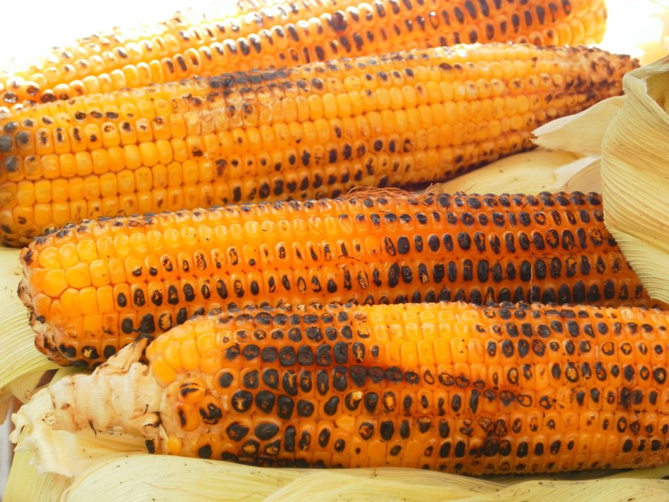 fried corn on the table