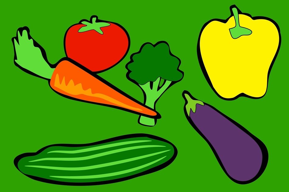 vegetables on the green background
