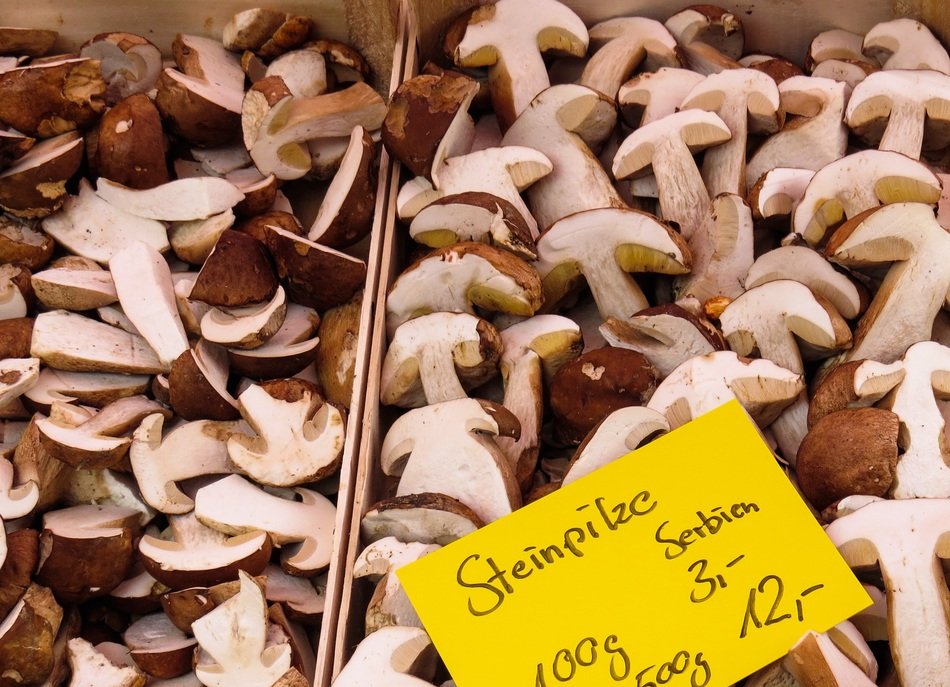 white mushrooms in a drawer on the counter