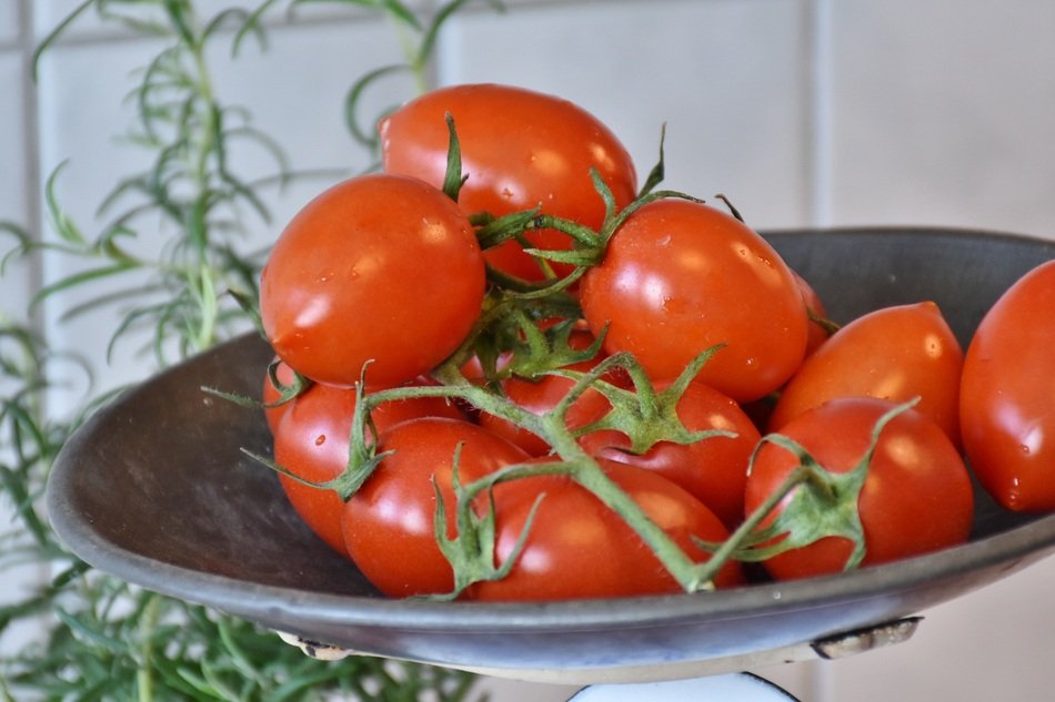 healthy tomatoes on the plate