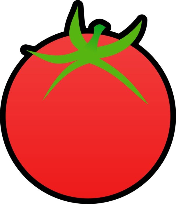drawn round red tomato
