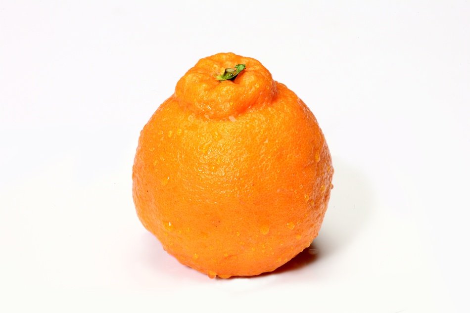 seedless dekopon