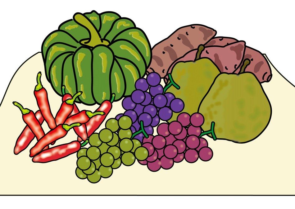 Picture of autumn fruit harvest