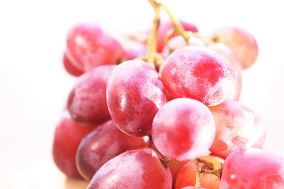 red grapes under the light