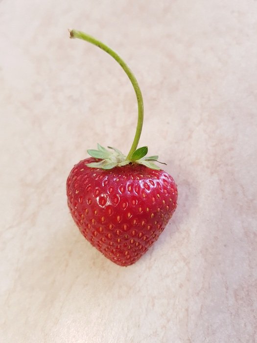red strawberries on a gently pink background