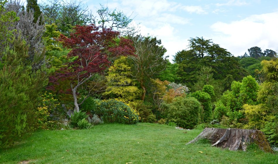 english landscaped garden