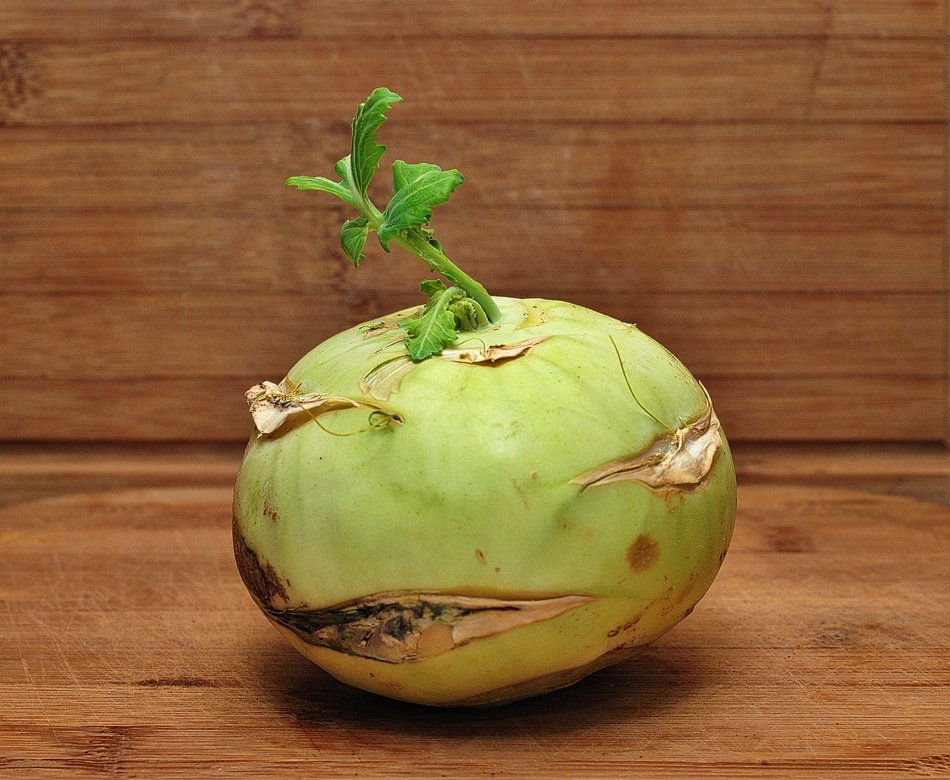 green turnip on the table