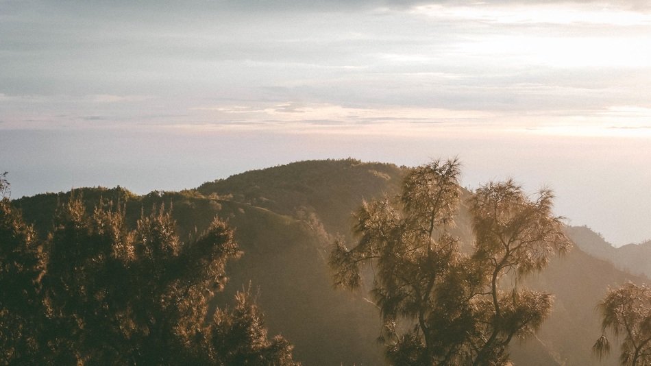 panorama of a hill in a sunny haze