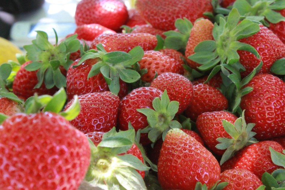 A lot of the fresh strawberries