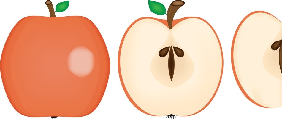 Painted apple for clip art