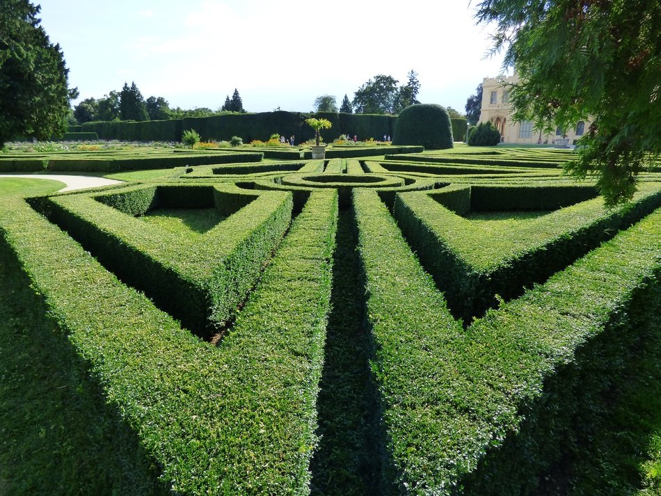 green maze in the park