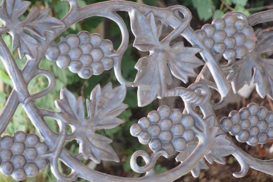 Grapes Iron Rail