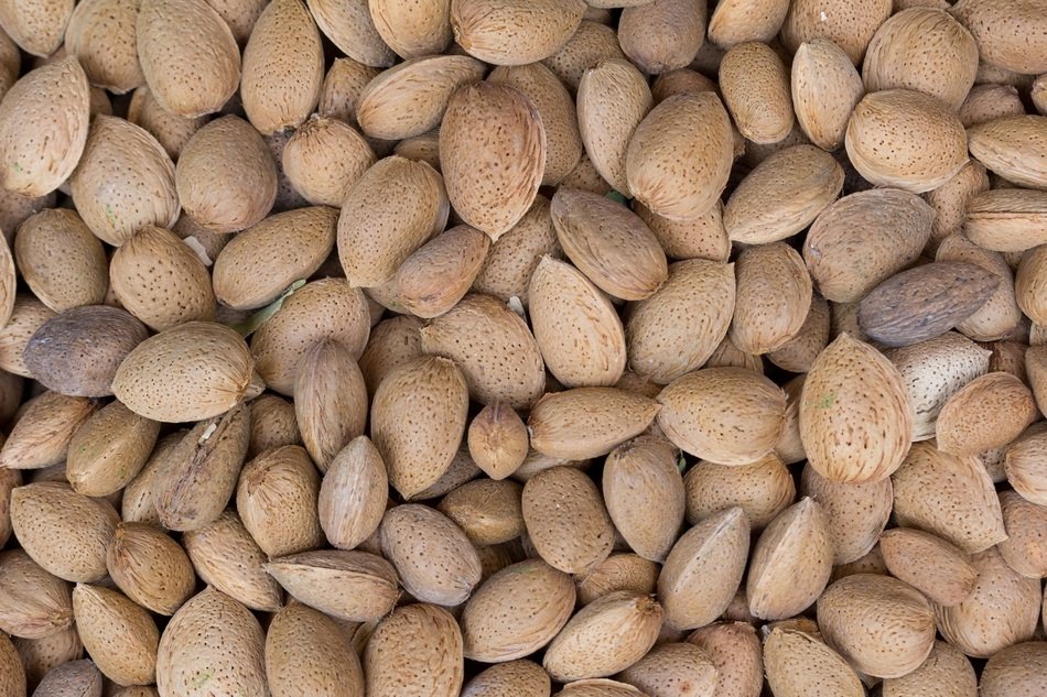 beautiful delicious almond