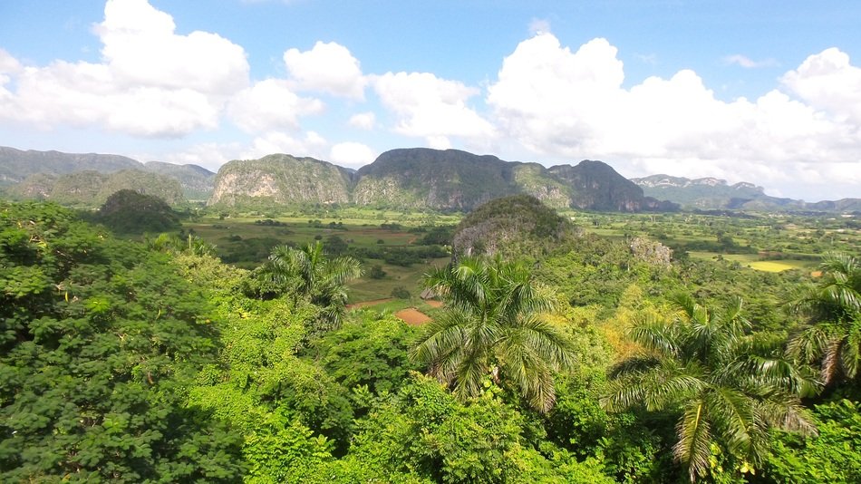 panorama of forest in the mountains, cuba, vedado