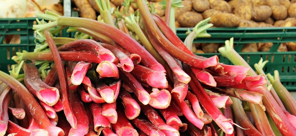 rhubarb in the local market