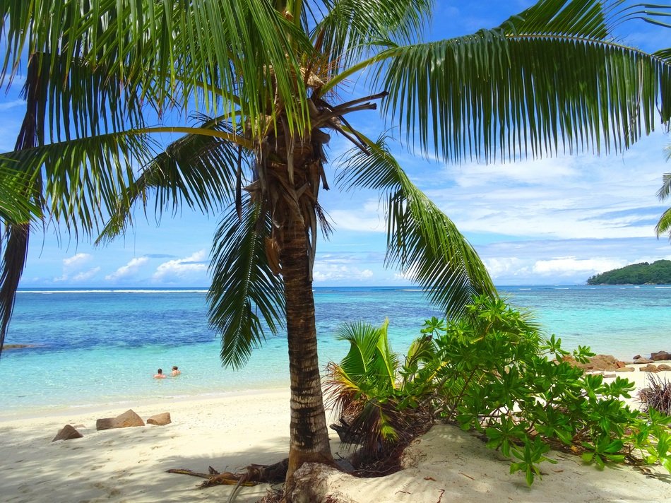 beauty Seaside
