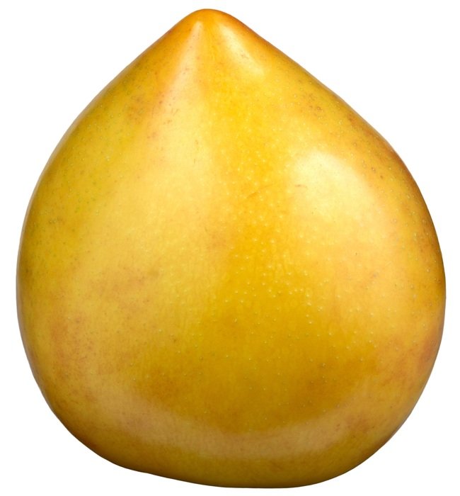 beautiful delicious Yellow Plum on white