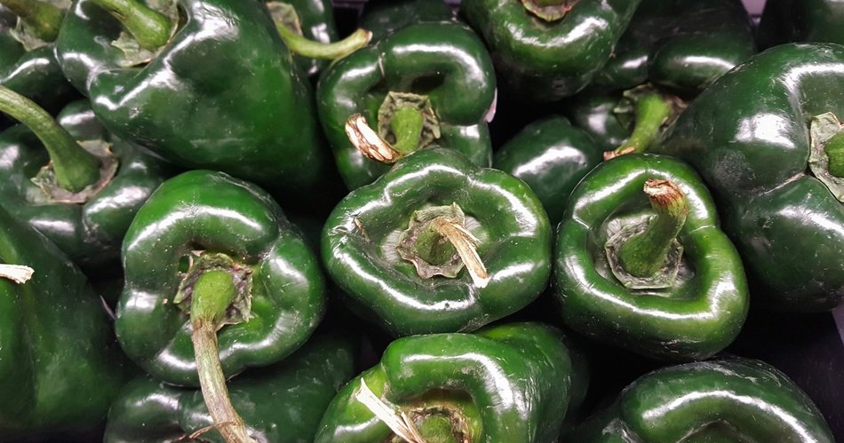 A lot of green poblano peppers