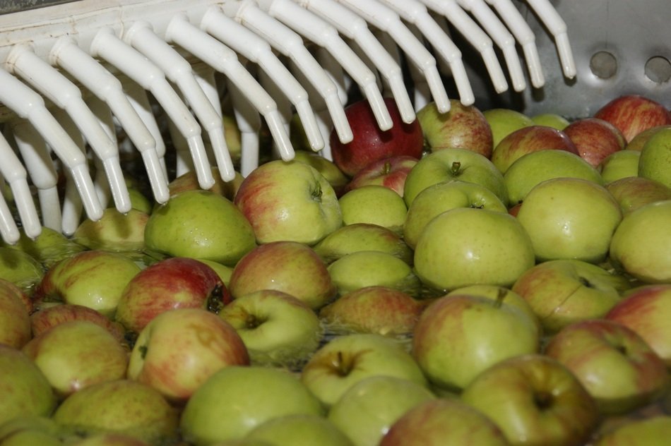 industrial washing of apples