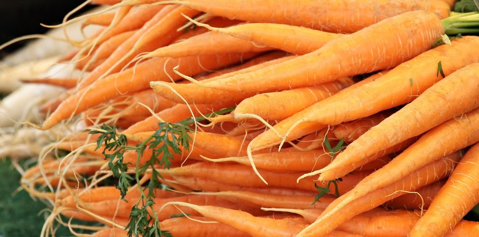 farm carrot