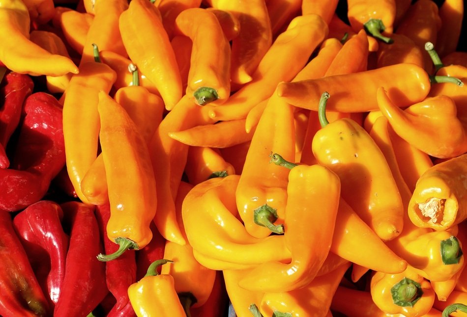 colorful pepper on the market