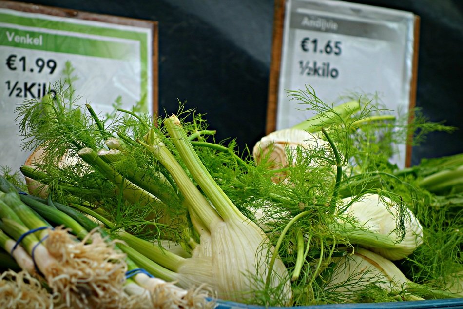 fennel on the counter in the market