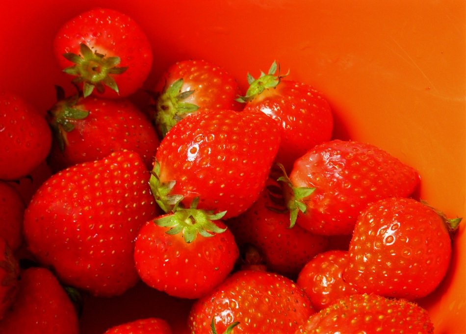 strawberries on the red background
