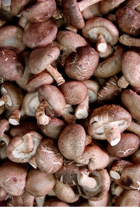 mushrooms in grocery