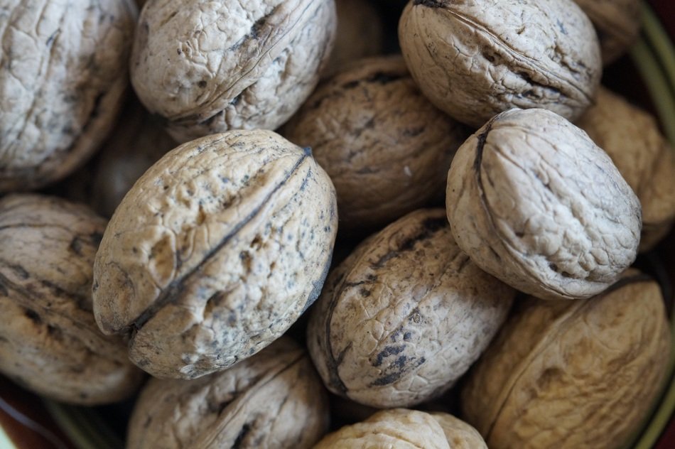 walnuts new crop