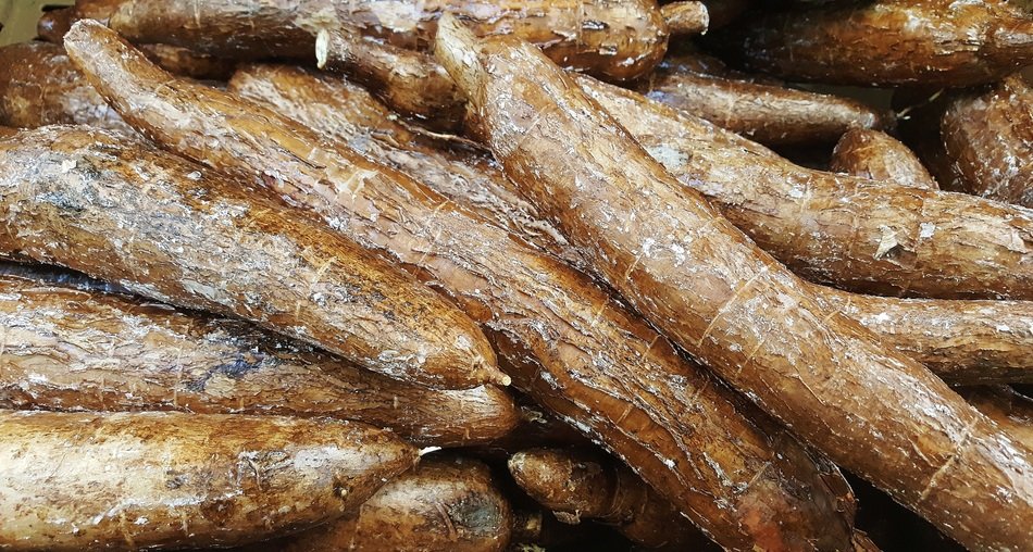 Tropical brown brazilian arrowroots in the market